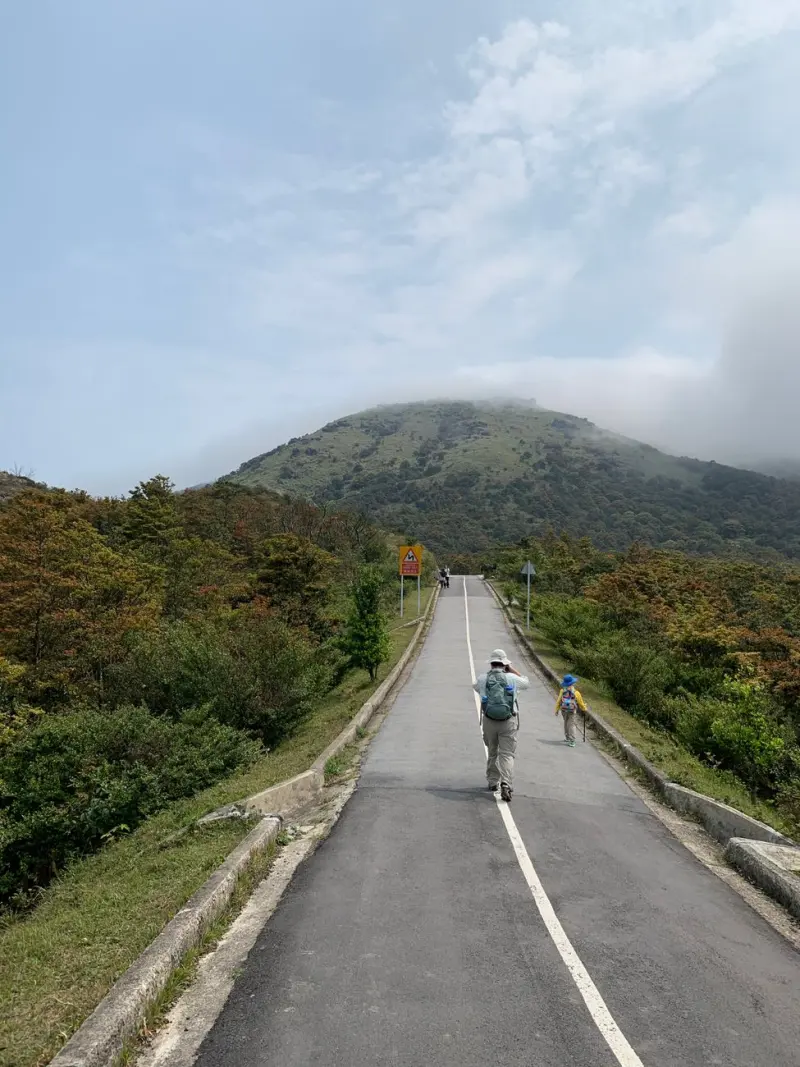 营销策划行业数字化转型趋势与黑龙江本地化应用实践