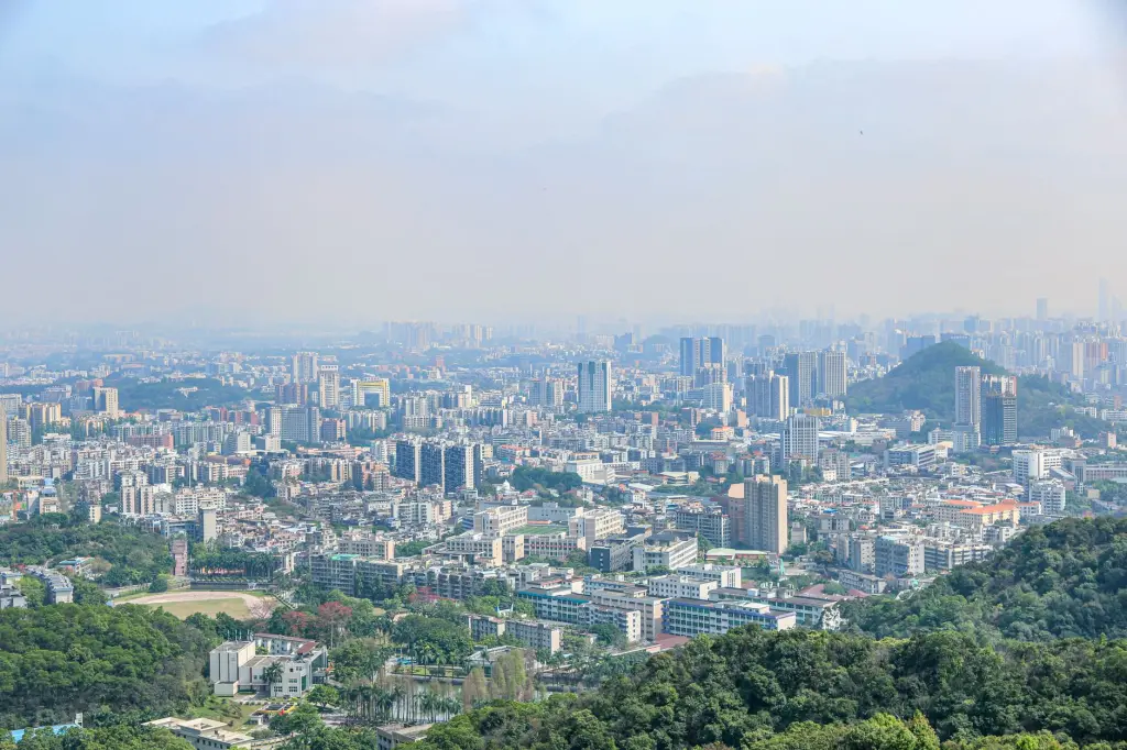 2024年黑龙江企业营销策划行业趋势与政策解读