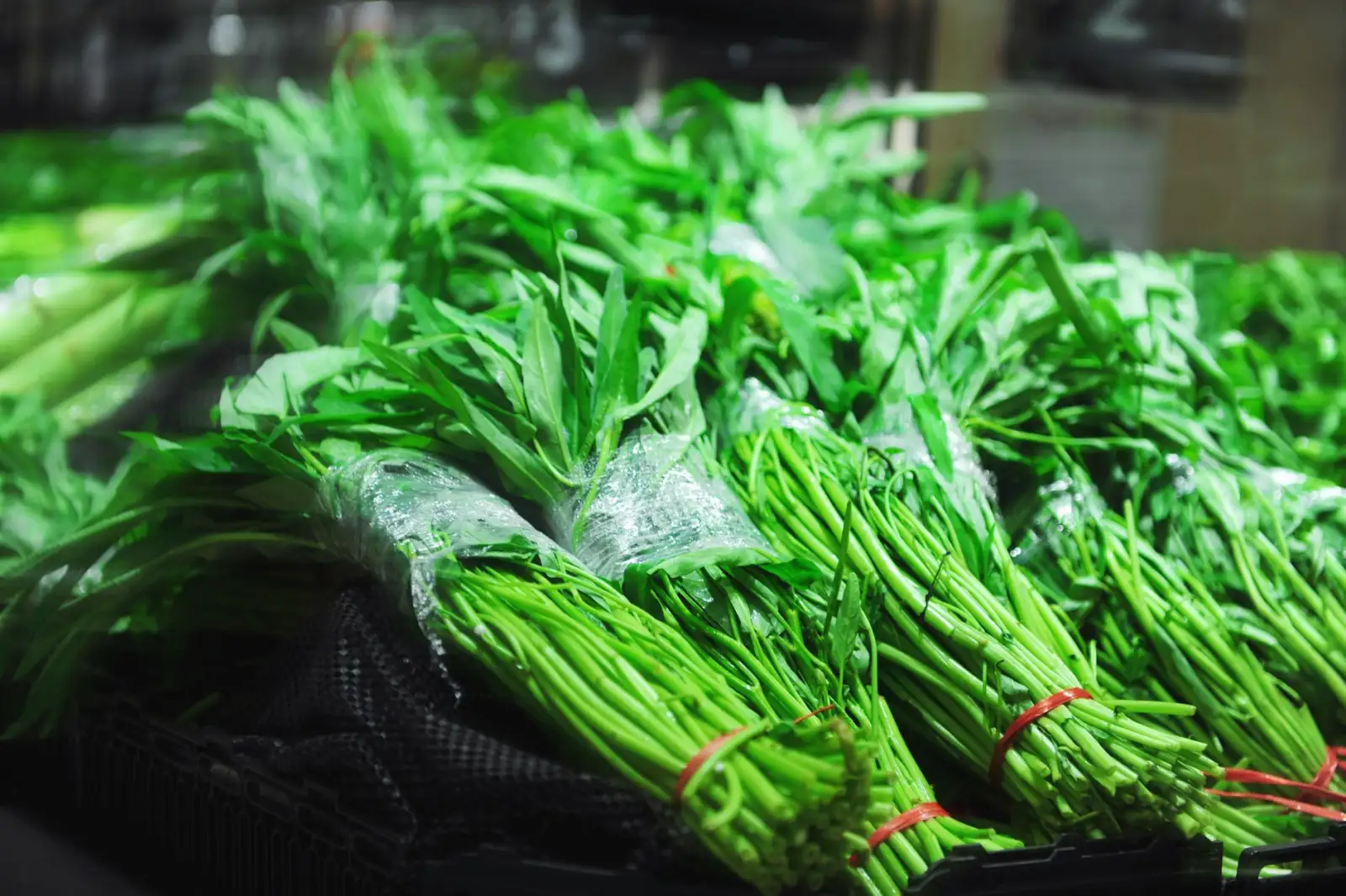 黑龙江企业品牌营销策划全流程解析：从策略到落地执行的关键步骤