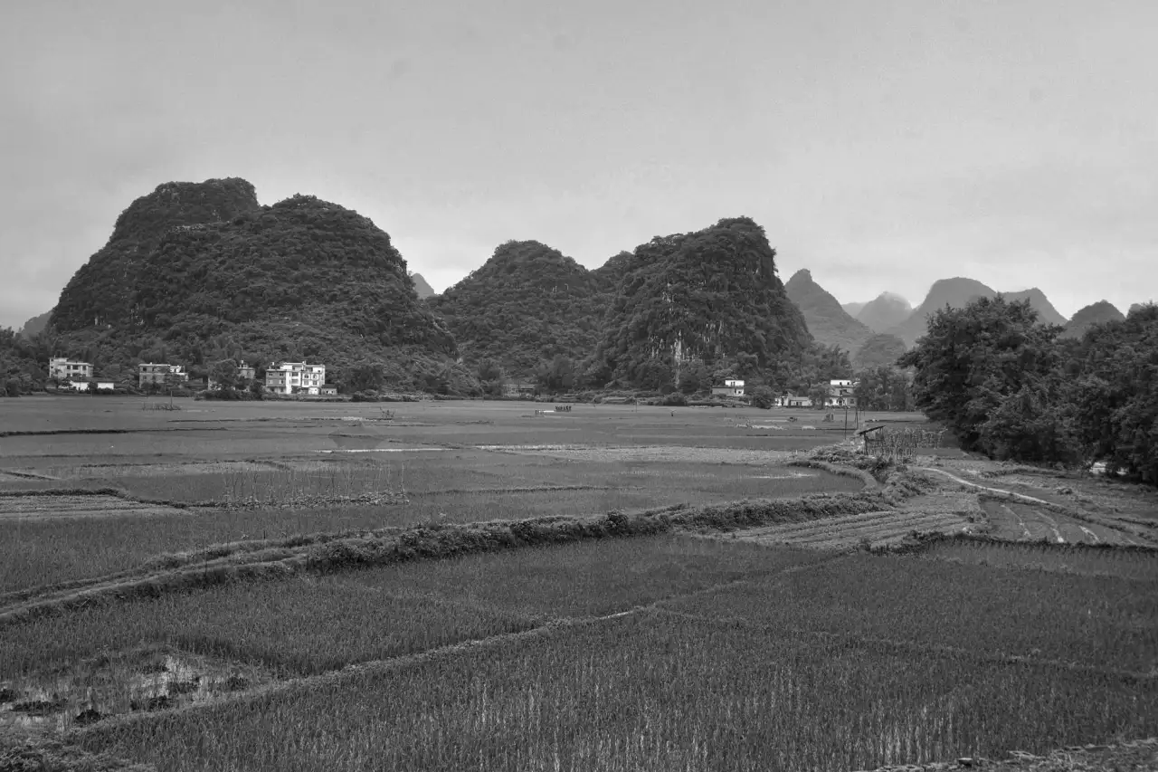 2024年黑龙江企业营销策划行业新规解读与合规要点