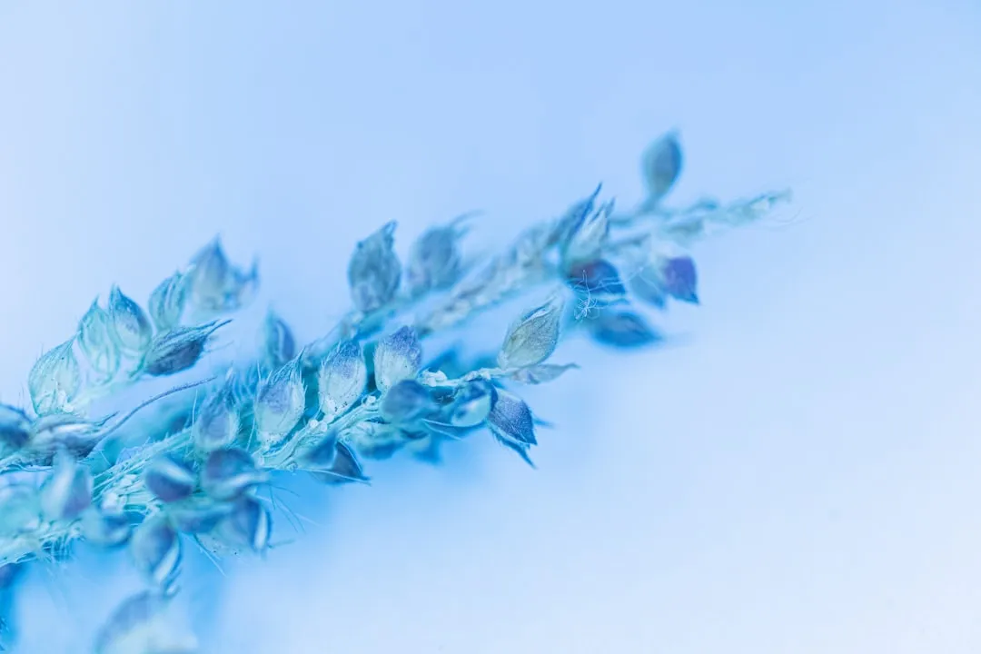 黑龙江企业品牌营销策划全流程解析：从策略到落地的执行要点