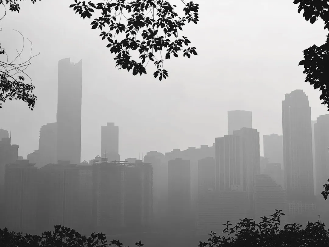 黑龙江企业营销策划方案：从策略到落地的全流程解析